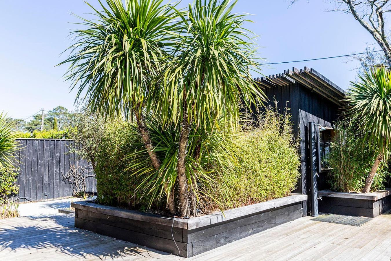 Beach House Lège-Cap-Ferret Екстериор снимка